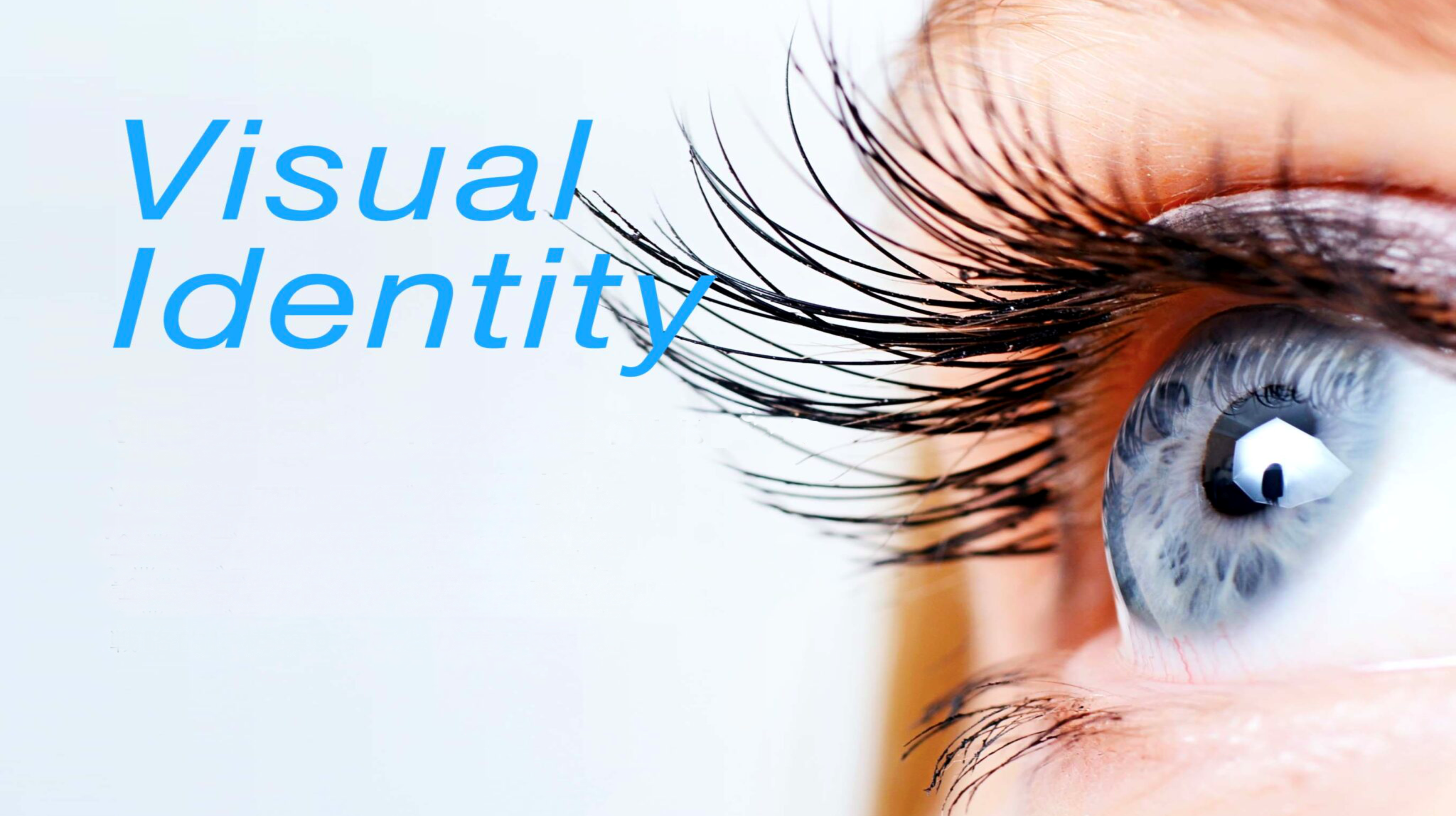 O Impacto da Identidade Visual na Competitividade das Empresas Industriais
